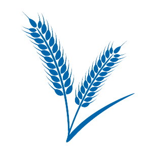 oat