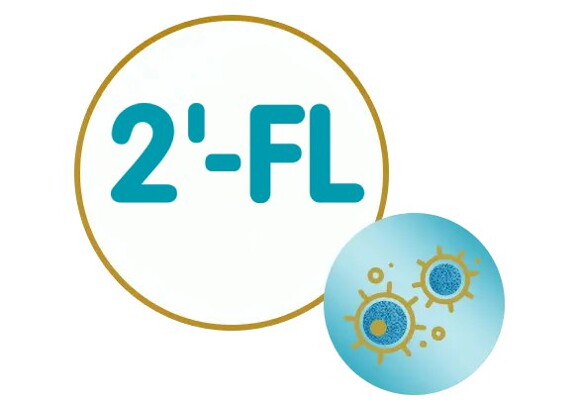 oligosakkariden 2′-fukosyllaktos (2'-FL) oligosakkariden 2′-fukosyllaktos (2'-FL)