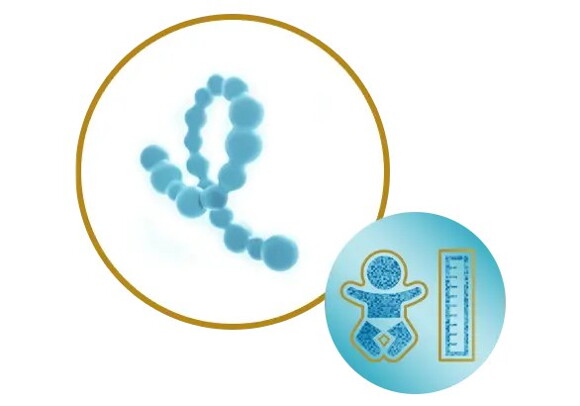 ALDERSTILPASSET PROTEIN ALDERSTILPASSET PROTEIN