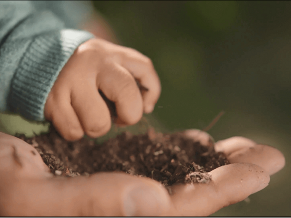 Promise to care for you, your child, and the planet Promise to care for you, your child, and the planet
